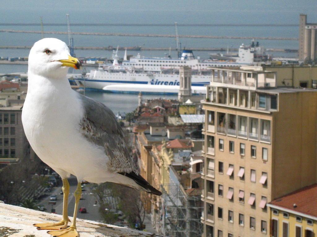 Kenza - Porto di Cagliari