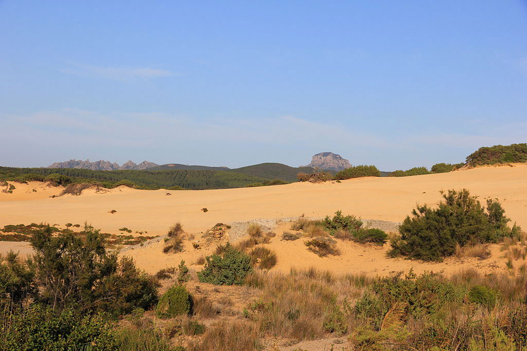 piscinas is arenas
